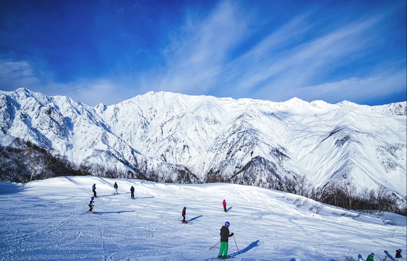 白馬五竜白馬八方尾根スキー場